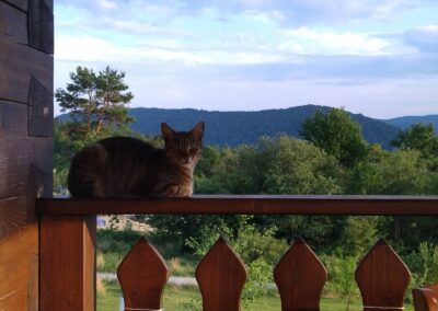 Beskid Niski Pensjonat Orlik Kasyno