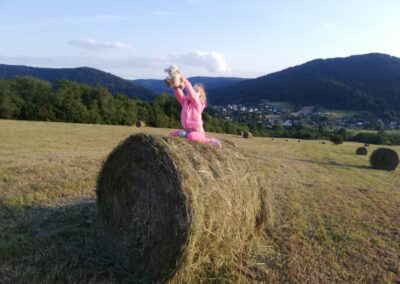 Beskid Niski Pensjonat Orlik Kasyno