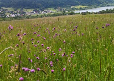 Beskid Niski Pensjonat Orlik Kasyno