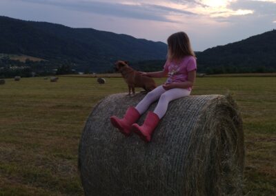 Beskid Niski Pensjonat Orlik Kasyno